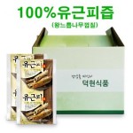 유근피즙(왕느릅나무껍질)